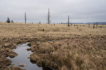 Naturpark High Fens-Eifel in Belgium