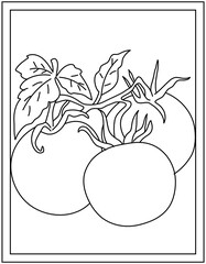 
Coloring page of tomatoes, vegetable linear vector 


