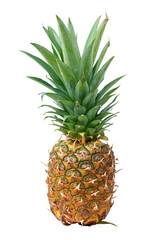 Obraz premium Pineapple isolated on white background