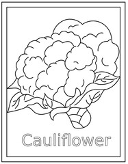 
An amazing design vector of cauliflower coloring page 

