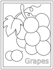 
Grapes coloring page design in hand drawn vector 

