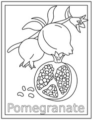 
Pomegranate coloring page design in hand drawn vector 

