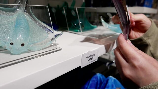 People buying glass stingray inside Vancouver aquarium gift shop.