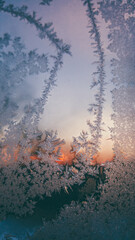ice flowers on the window. very low temperatures in the morning during the winter season. traces of frost on the glass