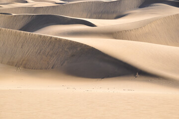 Landscape photo of desert