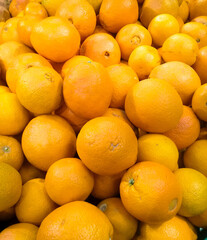 oranges in the market