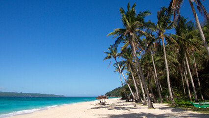Palms on beautiful Puka Beach on Boracay, Philippines