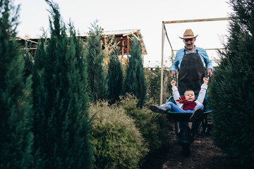 grandfather giving a ride to his grandson in wheelbarrow