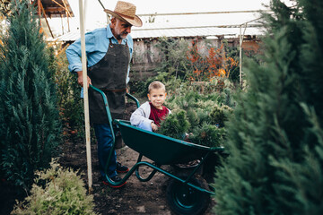 grandfather giving a ride to his grandson in wheelbarrow