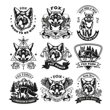 Monochrome labels with wild fox vector illustration set. Retro emblems with fox head and promotional text. Wildlife and forest animals concept can be used for retro template