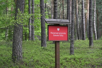 Red plate of the Sokole Gory (Falcon Mountains) Nature Reserve in green forest in Jura of Krakow - Czestochowa, Poland. Inscription: Nature Reserve Sokole Gory
