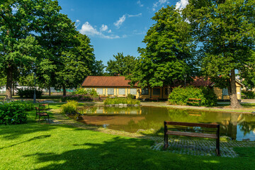 Lush green public park in summer sunlight