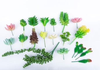 Beautiful Mini Cactus Succulents flat lay nature artistic vintage on a white bright blurry background