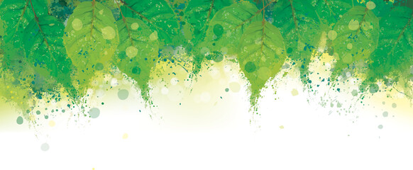 Vector abstract green leaves border. Grungy nature background.