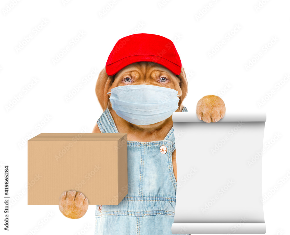 Poster puppy wearing medical protective mask, red cap and overalls holds carton box and empty list. isolate