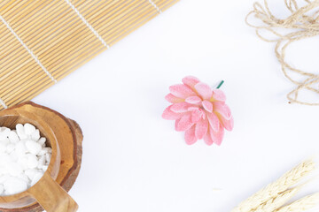 Beautiful Mini Cactus Succulents flat lay nature artistic vintage on a white bright blurry background