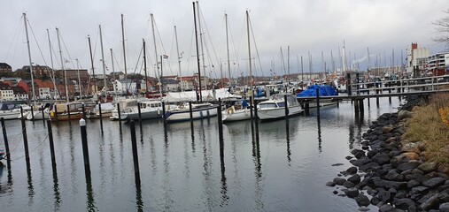 boats in the harbor