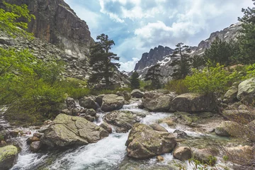 Gordijnen Mountain river valley landscape in Corsica national park © Rokas