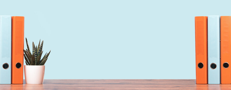 Blue and orange document binders or lever arch file on an office shelf or desk. Cactus in a pot. Business concept banner. Copy space