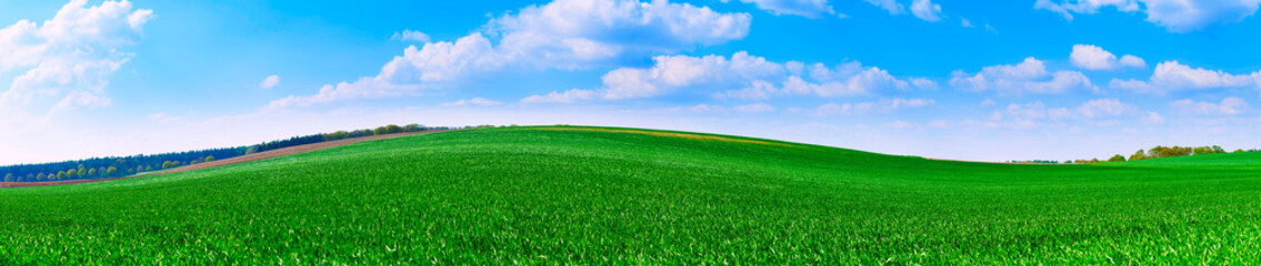 Panorama of green meadow with blue sky and clouds on a sunny summer day