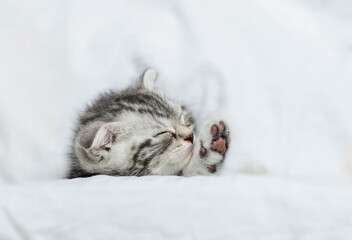 Cozy tabby kitten sleeps under blanket on a bed at home. Top down view