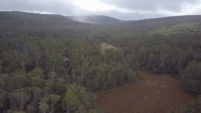 Aerial Forward: Green Trees In Forest Against Cloudy Sky