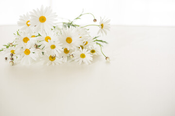 bunch of white flower on white table top