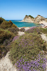 Greece Erikoussa Island, Ionian Islands, Europe, Corfu district, Fiki coast in the foreground heather shrubs