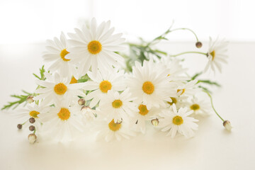 bunch of white flower on white table top