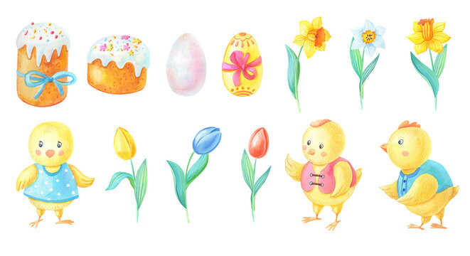 Watercolor Easter set of cute yellow chickens in clothes,cake,daffodil,tulip,Narcissus. Blue,red,yellow flower and egg