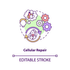 Cellular repair concept icon. Molecular recovery. Intermittent fasting benefits. Microbiology idea thin line illustration. Vector isolated outline RGB color drawing. Editable stroke