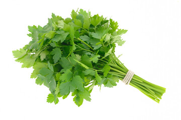 Fresh bunch of parsley isolated on white background