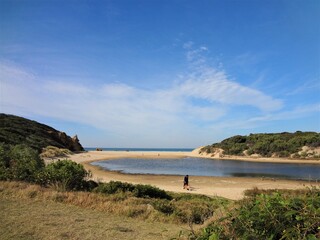 Great Ocean Road, Victoria, Australia, man walking with dog