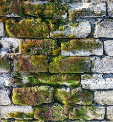 Stone wall partially overgrown with moss.