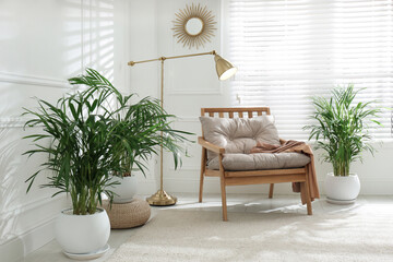 Stylish room interior with exotic house plants