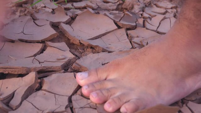 Andando sobre a terra seca