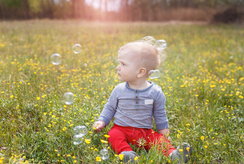 Portrait of a little white caucasian boy in red pants. A child sits on the grass among the yellow flowers in the park on a May day. looks thoughtfully at soap bubbles