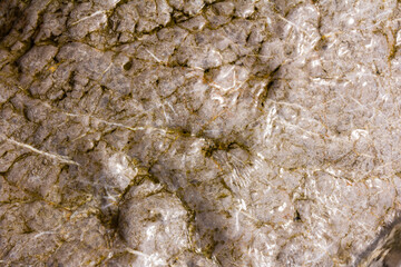 Texture created by nature. Wet stones