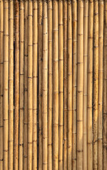 Bamboo wall with natural texture in hi resolution, Bamboo panel for background, vertical direction