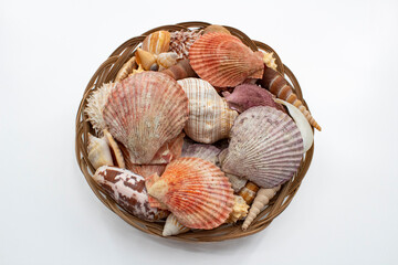 Assortment of Seashells in Brown Basket Isolated on White Background