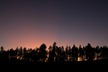 Magical pink sunset over forest. Silhouette of trees against burned evening sky. Beautiful northern evenings and sunsets. Murmansk.