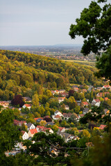 Wohngebiet in Waldrandlage