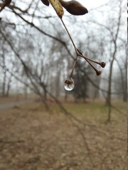 person walking in the park © Bywa