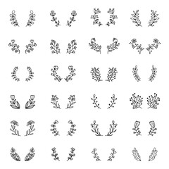 Set of doodles flowers, branches, leaves, herbs, plants.
