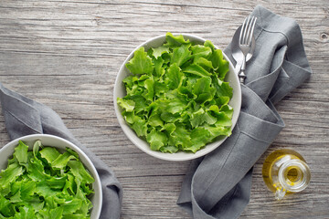 Green lettuce salad