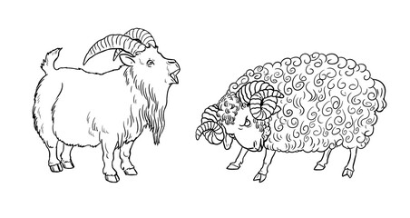 Funny goat and sheep. Funny farm animals. Template for children to paint.