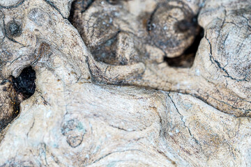 Naklejka premium Background structure can also be used as a poster wallpapers photographed in high resolution studio