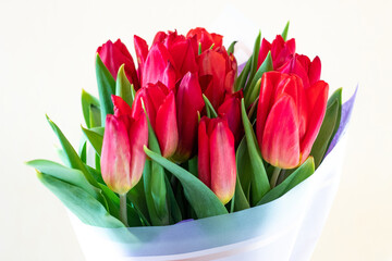 Beautiful bouquet of tulips close-up on a white isolated background. Red tulips