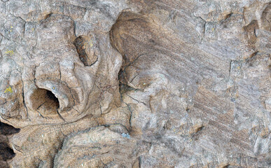 Background structure can also be used as a poster wallpapers photographed in high resolution studio