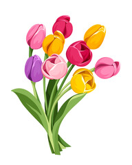 Vector bouquet of red, pink, orange, yellow and purple tulip flowers isolated on a white background. - obrazy, fototapety, plakaty